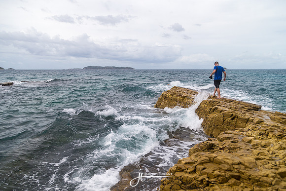 Out on the rock during low tide.