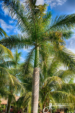 IMG_1992_HDR