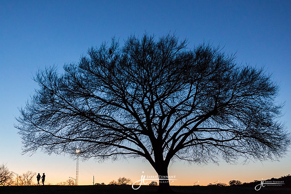 Zilker Park
