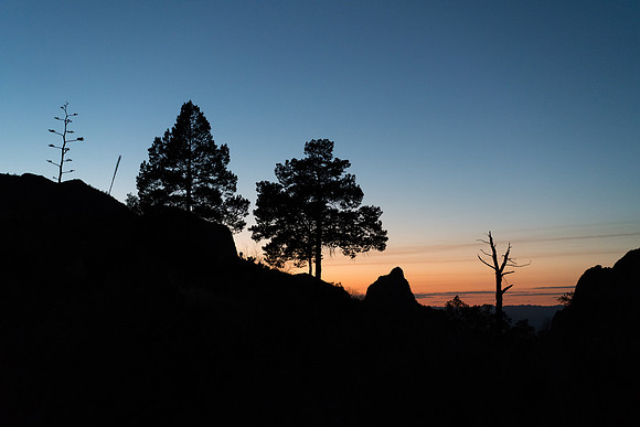 Big Bend National Park