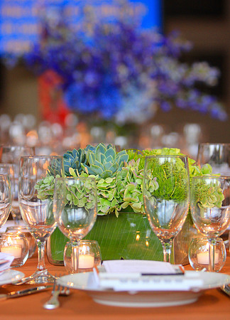 Suzanne Court Catering & Events