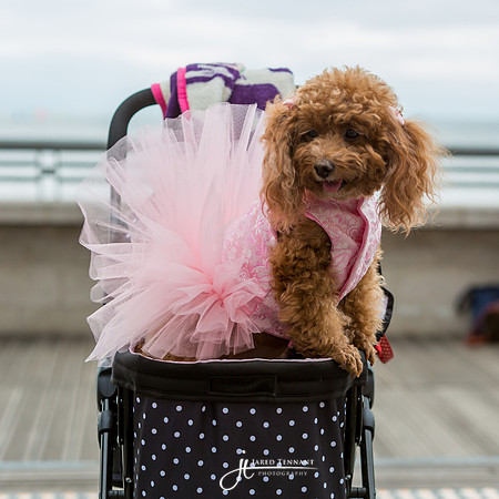 _MG_6850