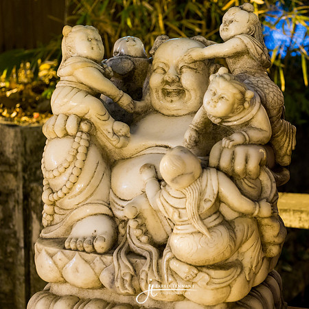 _MG_0507