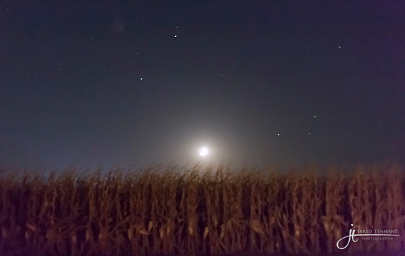 moon setting into the fields
